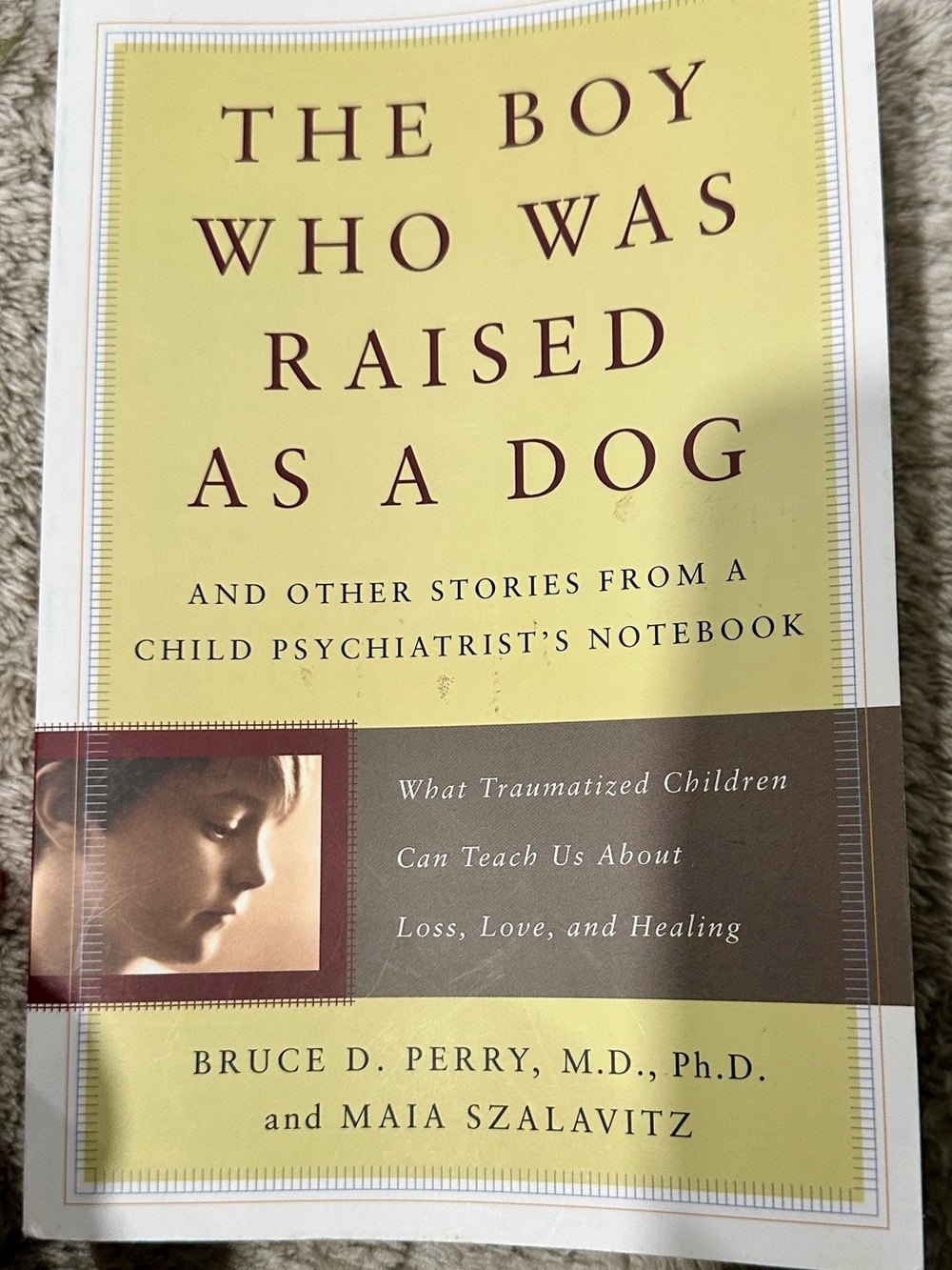 The Boy Who Was Raised as a Dog - Yellow Cover by Bruce Perry and Maia Szalavitz